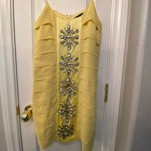 Sheri Bodell Sleek Bedazzled Dress